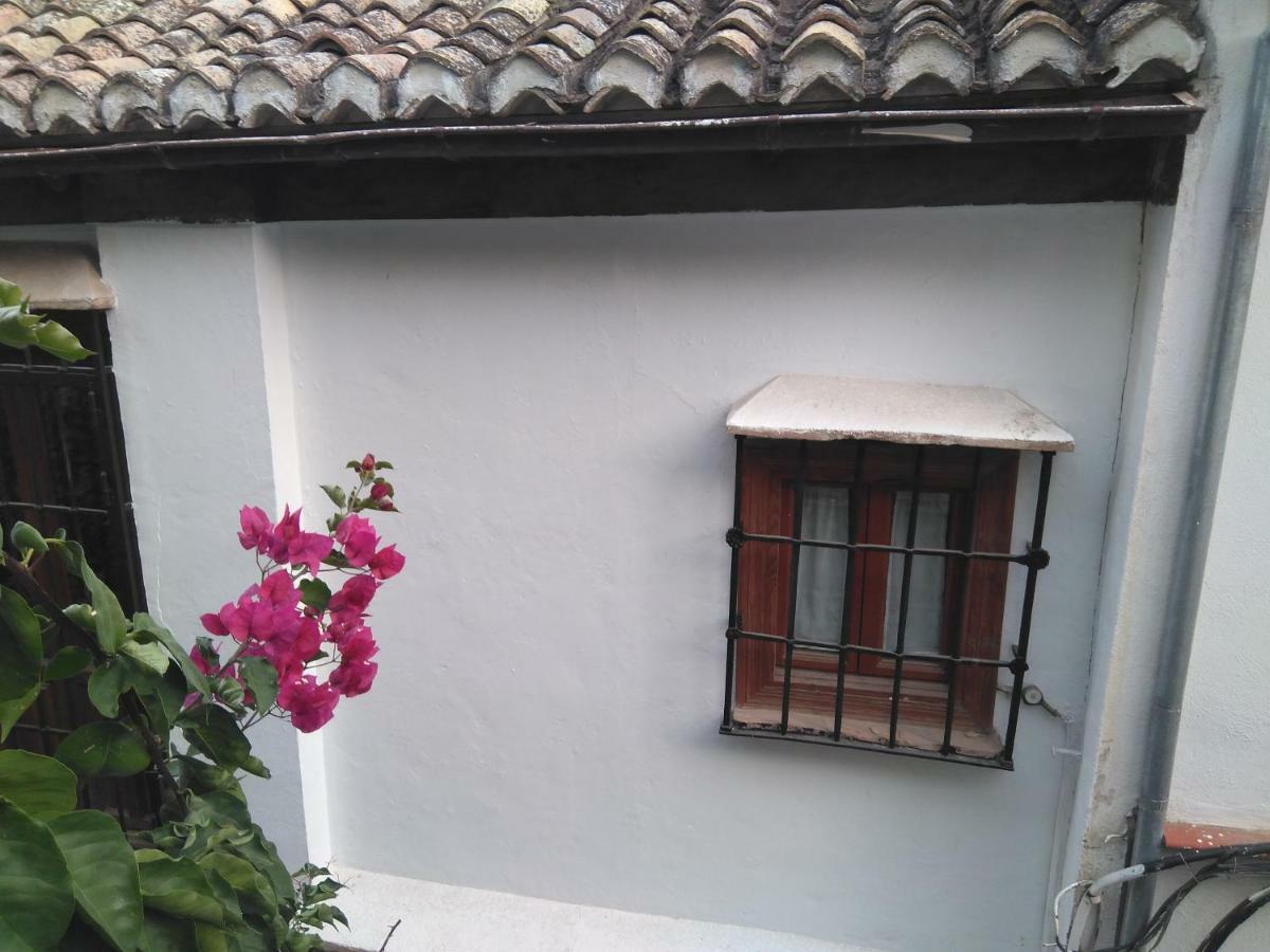 格拉纳达Casa-Mirador La Alhacena公寓 外观 照片